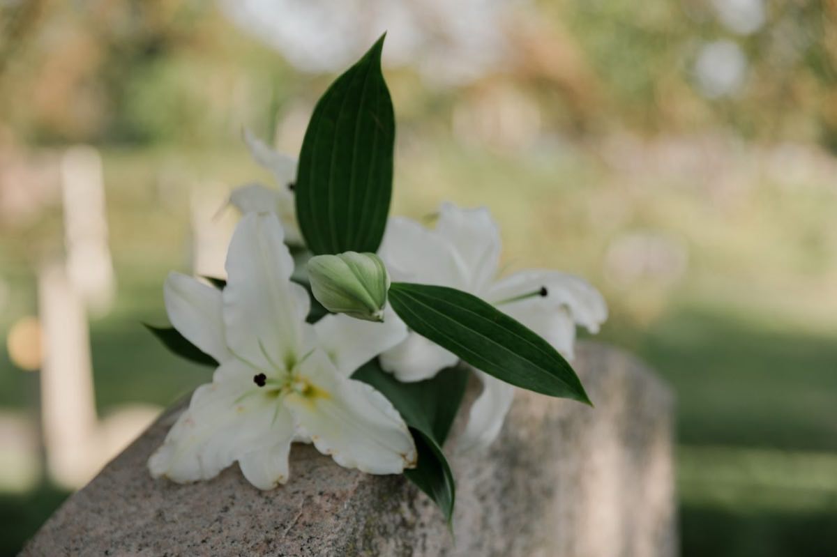 Weiße Lilien auf einem schlichten Grabstein im Tageslicht
